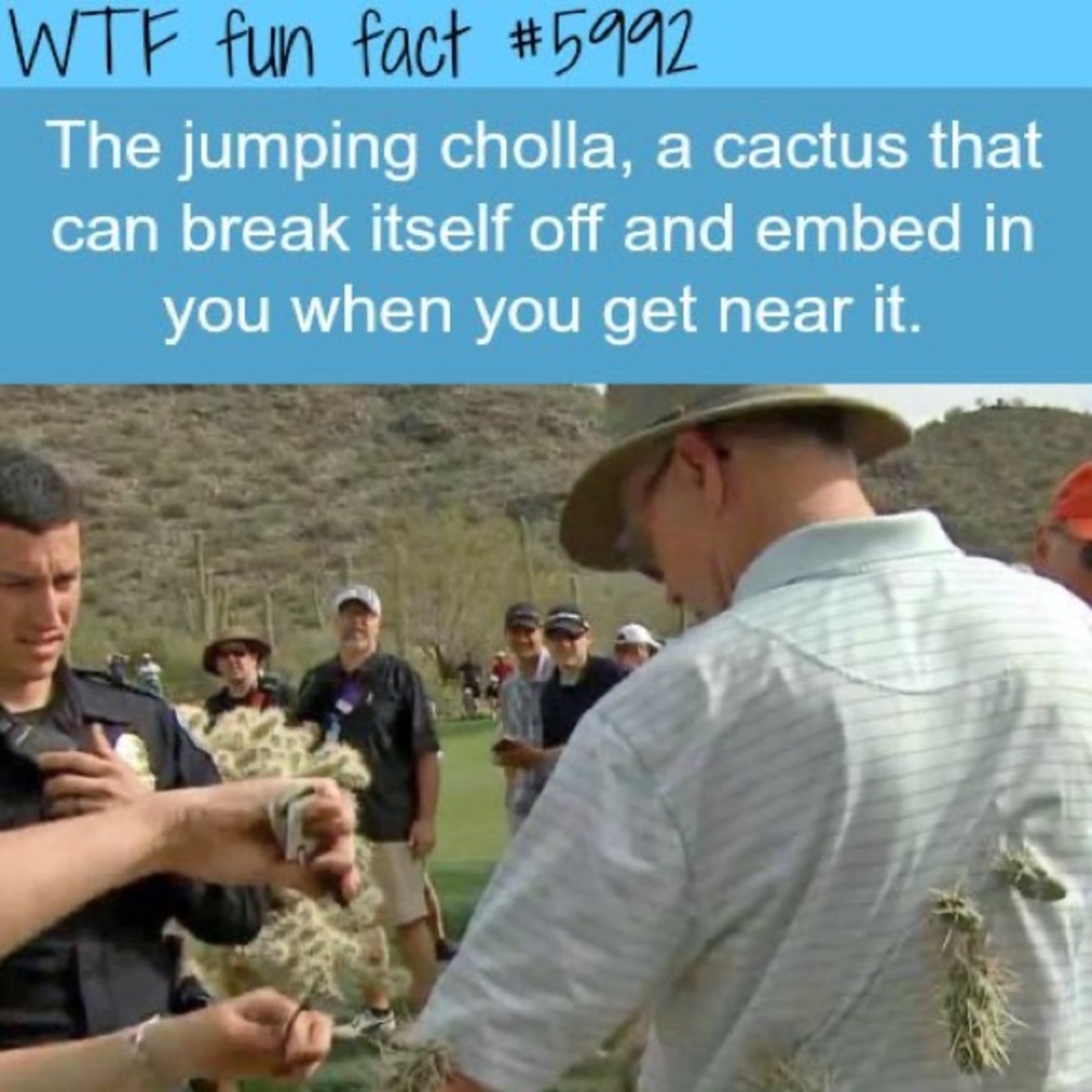 $1 NAIL STICKER SHEET. NEW. $1 WITH ANY $10 ORDER OR MORE - Picture 14 of 14